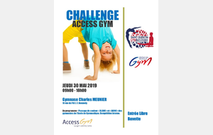 Challenge Access Gym