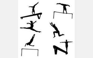 Gala de fin d’année du club de Saint-Quentin Gymnastique