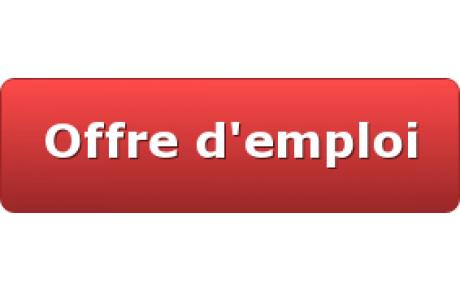 La FFGym recrute deux chargé(e)s de mission au sein de son service des systèmes d'information